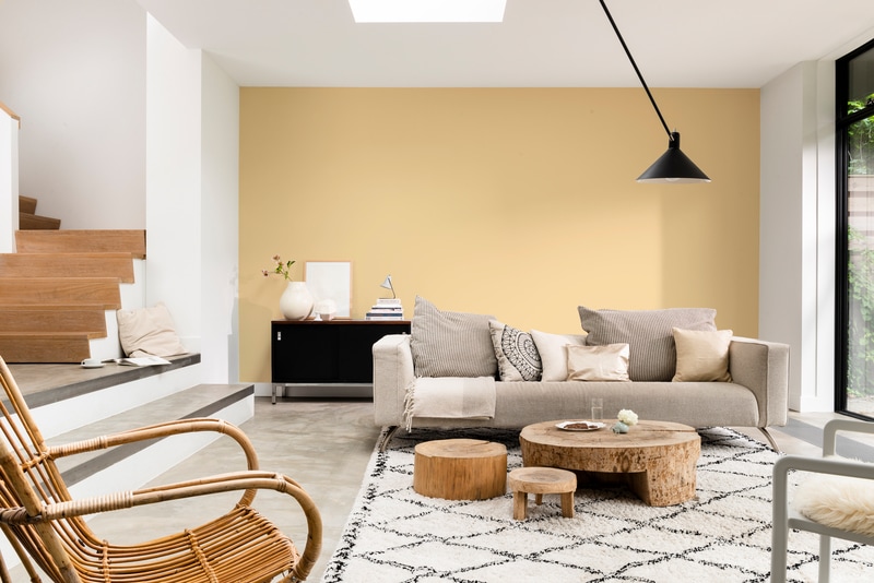 50YY 75/254